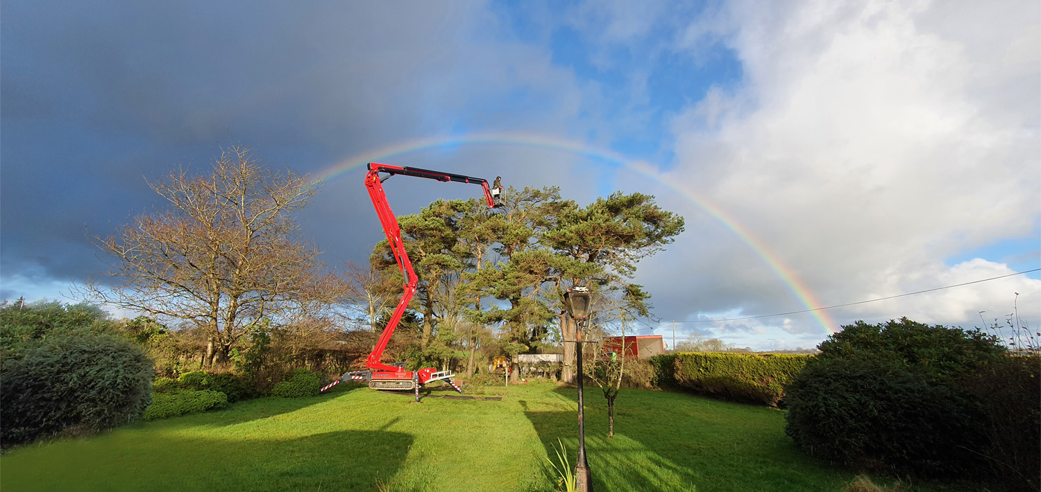 Hinowa rainbow snap wins picture of the year prize