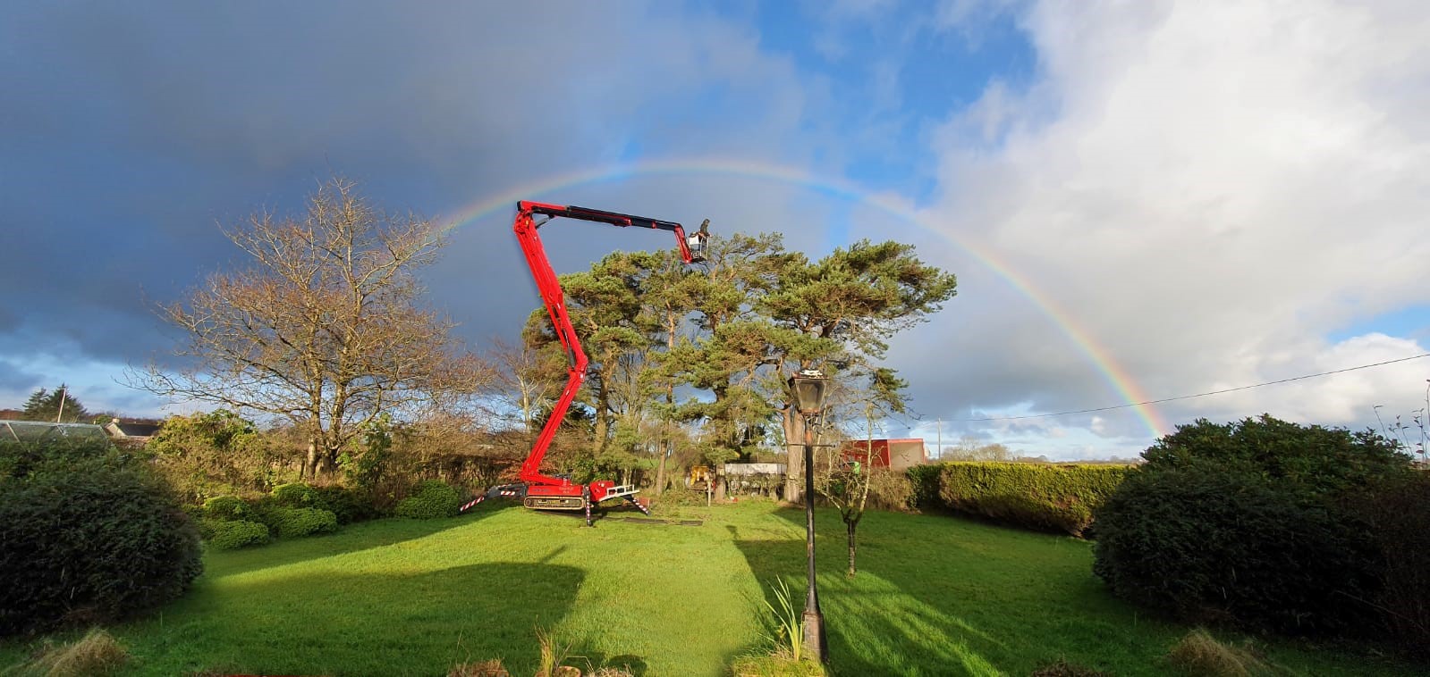 Tree surgeon invests in new Hinowa spider platform – and gets free rainbow