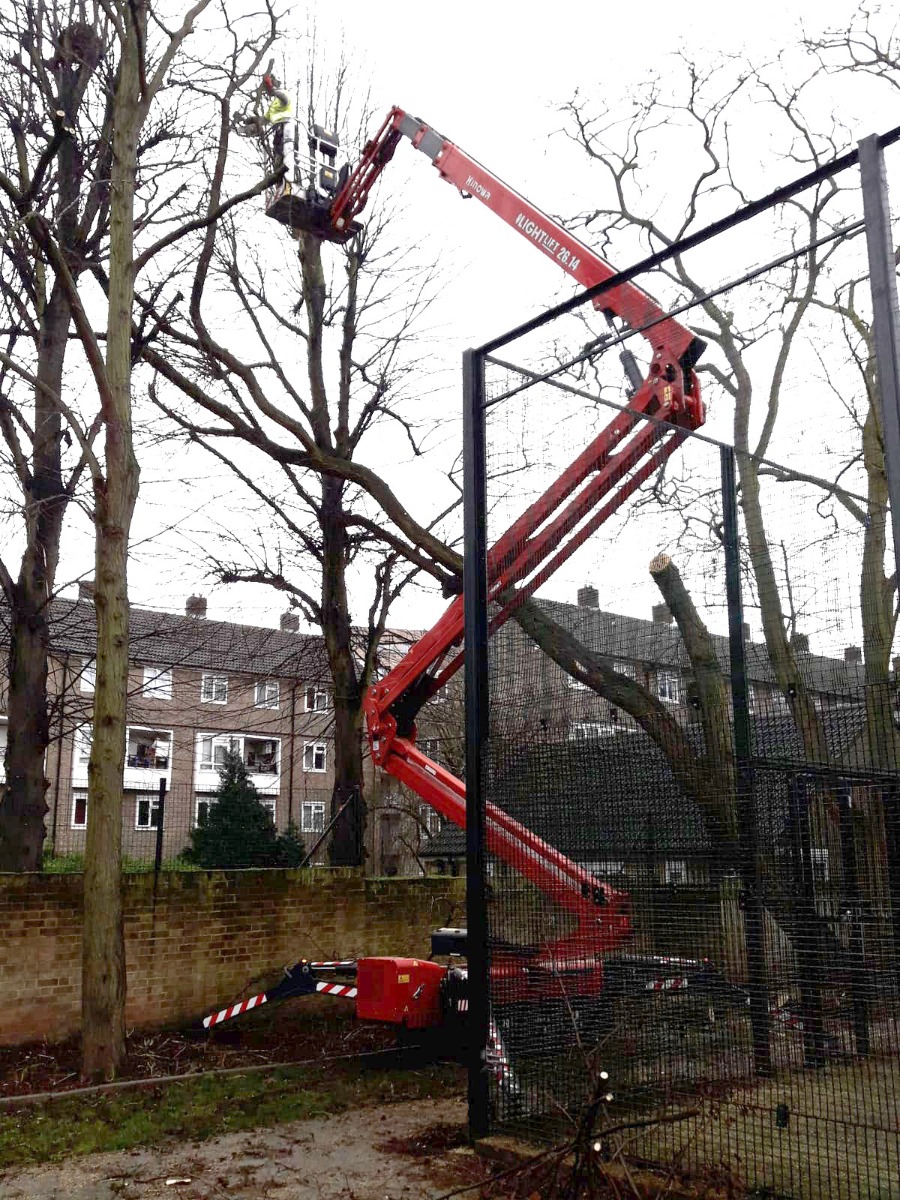 Tree services specialist hails “phenomenal” Hinowa boom lift