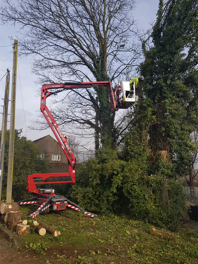 Arborist prepares for ash dieback with Hinowa investment