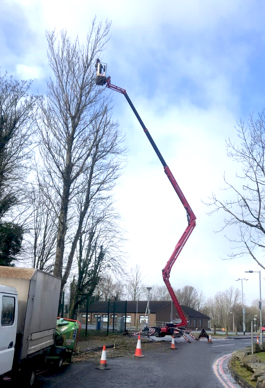 Lithium power Hinowa spider platform impresses tree surgeons