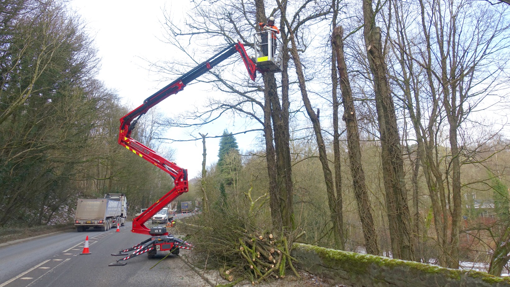 Ash dieback accelerates switch to Hinowa spider power