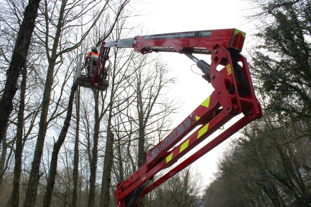 Close up of Hinowa, used for ash dieback