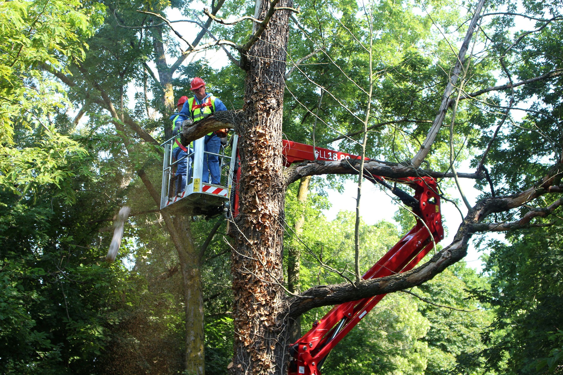 APS Hinowa 18.80 treework