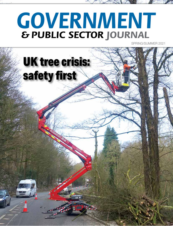 Government and Public Sector journal front page